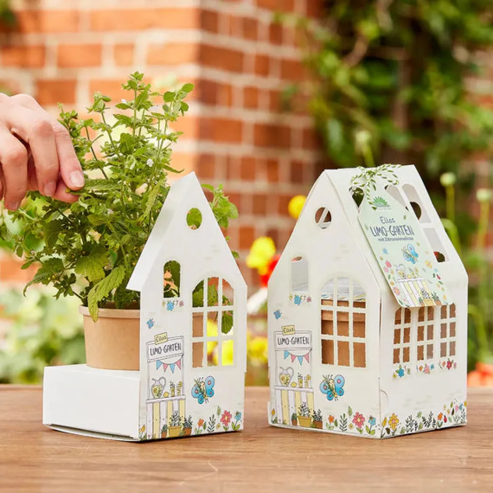 st_gewchshuschen_ellas_li_0.webp Die Stadtgärnter ST Gewächshäuschen Ellas Limo-Garten Zitronenmelisse- Lovely Stuff